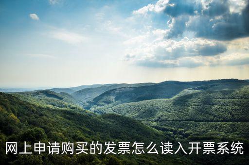 網(wǎng)購(gòu)發(fā)票如何讀入，網(wǎng)上申請(qǐng)購(gòu)買的發(fā)票怎么讀入開票系統(tǒng)