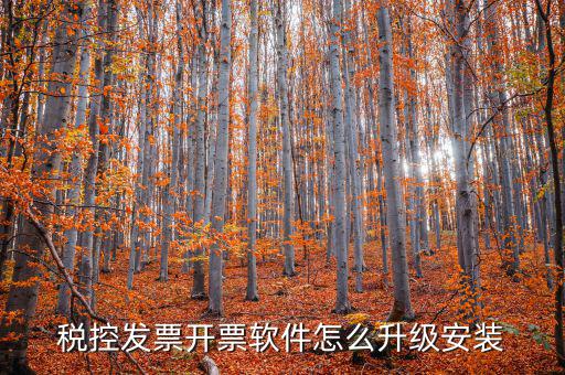 開票系統(tǒng)如何升級(jí)成品油軟件，稅率調(diào)整開票軟件如何升級(jí)