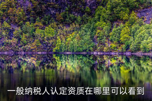 如何查看稅務資質(zhì)，一般納稅人認定資質(zhì)在哪里可以看到