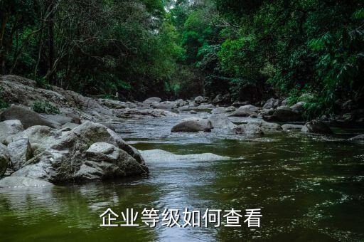 如何查詢企業(yè)稅務(wù)信用等級，企業(yè)等級如何查看