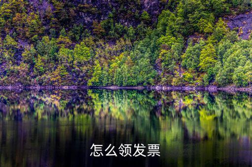 如何在網(wǎng)上領(lǐng)發(fā)票，怎樣領(lǐng)購發(fā)票