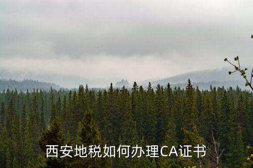 如何申請(qǐng)地稅ca證書(shū)，西安地稅如何辦理CA證書(shū)