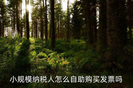 如何在自助機領(lǐng)購發(fā)票，小規(guī)模納稅人怎么自助購買發(fā)票嗎