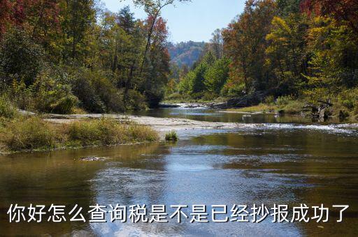 如何查看抄報成功，稅控發(fā)票開票軟件怎么看網(wǎng)上抄報成功沒有