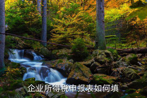 如何填寫企業(yè)所得稅申報(bào)表，如何填制企業(yè)年度所得稅申報(bào)表