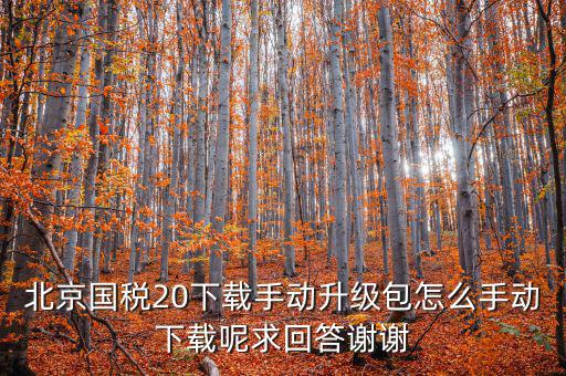 北京國稅20下載手動(dòng)升級包怎么手動(dòng)下載呢求回答謝謝