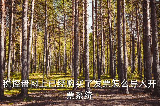 如何進(jìn)入開票系統(tǒng)，怎么進(jìn)入國家稅務(wù)局發(fā)票填開系統(tǒng)