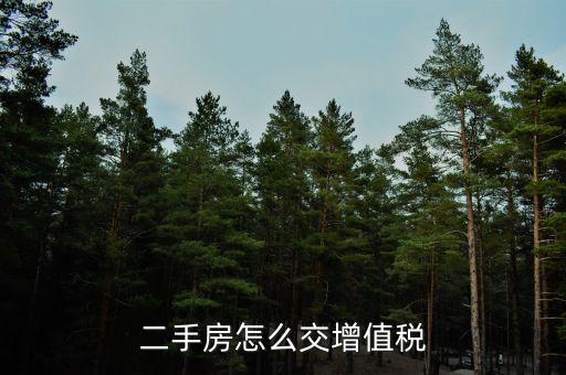 二手房增值稅如何管理辦法，二手房怎么交增值稅