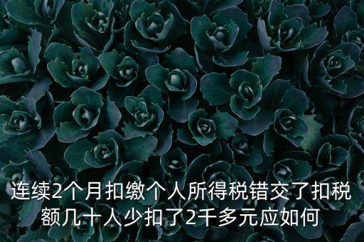 個稅如何補繳上個月，個人所得稅能補交嗎個人所得稅如何補交