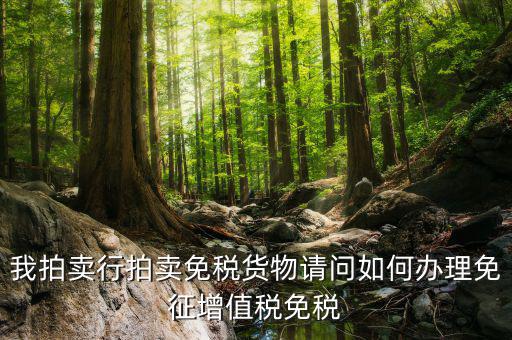拍賣行免稅貨物如何界定，司法拍賣價(jià)格是否包含增值稅