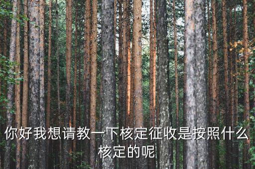 核定征收認(rèn)定如何認(rèn)定，如何核定征收