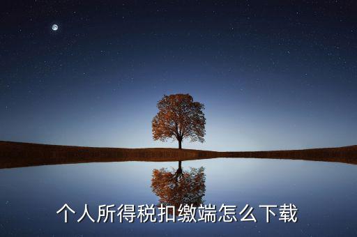 如何下載自然人扣繳客戶端，重慶市自然人電子稅務(wù)局扣繳端怎么下載