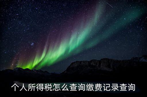 金稅三期個(gè)人所得稅如何查詢，個(gè)人所得稅怎么查詢繳費(fèi)記錄查詢