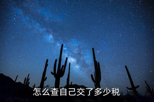 如何查詢交稅，如何查詢企業(yè)繳稅情況