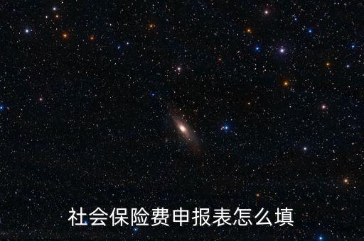 稅務系統(tǒng)社保費申報表如何填報，社會保險費申報表怎么填