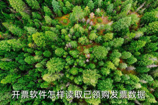 發(fā)票數(shù)據(jù)如何采集，開票軟件怎樣讀取已領(lǐng)購發(fā)票數(shù)據(jù)