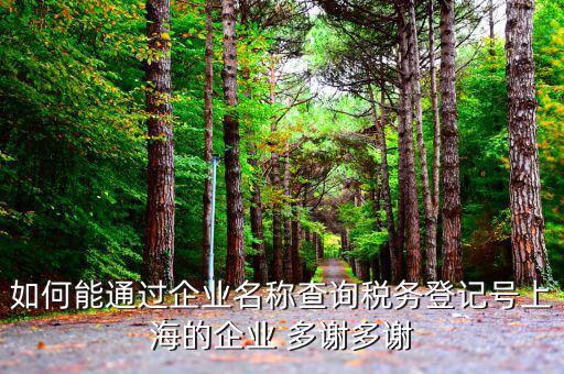 如何查詢稅務登記號碼，如何能通過企業(yè)名稱查詢稅務登記號上海的企業(yè) 多謝多謝