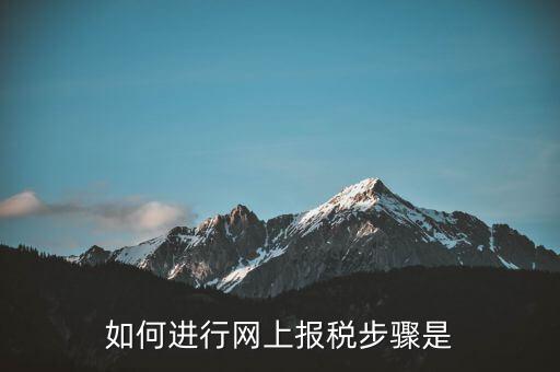 如何推行網(wǎng)上辦稅，如何辦理網(wǎng)上納稅