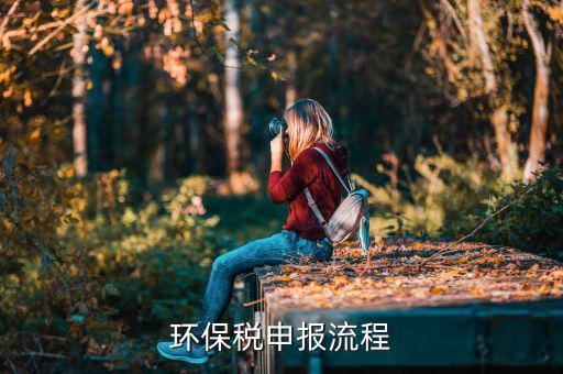 噪聲如何填寫環(huán)保稅，環(huán)保稅如何申報(bào)
