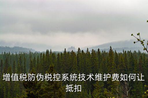 稅控維護費如何抵稅，稅控維護費抵扣問題