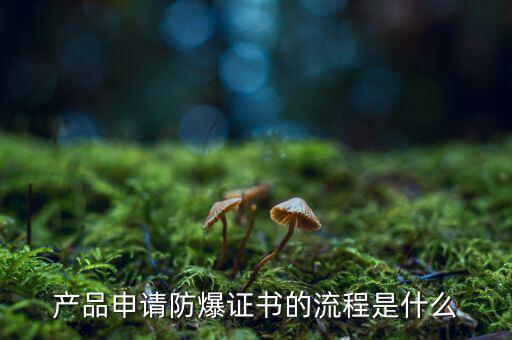 如何辦理防爆用地，產(chǎn)品辦理防爆認(rèn)證流程有哪些