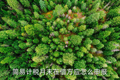 環(huán)保稅如何按簡易申報，環(huán)保稅怎么申報