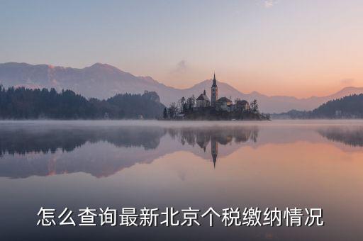 北京市 欠稅人員如何查詢，稅務(wù)欠稅信息如何查詢