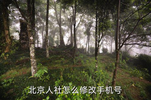 北京網(wǎng)上如何修改報(bào)稅電話，如何在北京國(guó)稅網(wǎng)站修改報(bào)稅電話