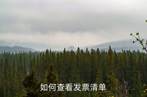 如何查詢發(fā)票明細(xì)表，如何查看發(fā)票清單