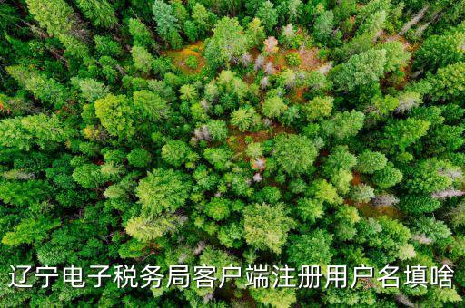 如何注冊社保電子稅務(wù)局賬號，遼寧電子稅務(wù)局客戶端注冊用戶名填啥