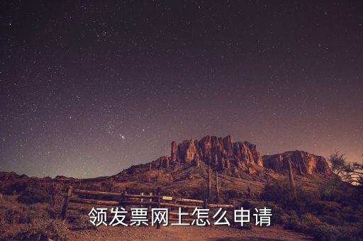 領發(fā)票網上怎么申請