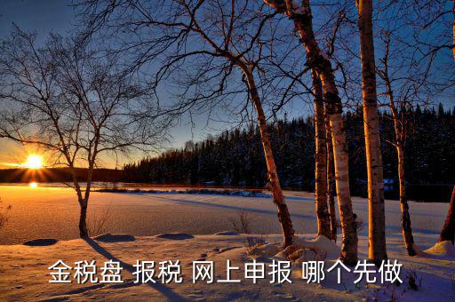 金稅盤如何網(wǎng)上申報(bào)，求金稅盤如何在電腦上報(bào)稅操作流程