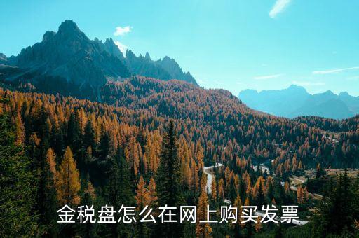 金稅盤如何網(wǎng)上購票，金稅盤領購發(fā)票的流程