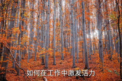 如何激發(fā)稅務干部的活力，在稅收工作中如何激發(fā)下屬的潛力