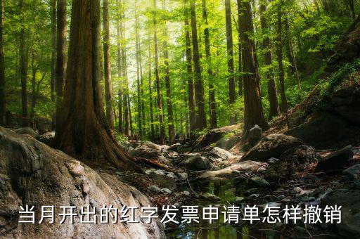 如何撤銷紅字發(fā)票申請書，紅字申請單如何作廢