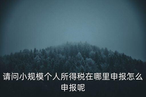 如何申報(bào)自然人兩處所得，請(qǐng)問小規(guī)模個(gè)人所得稅在哪里申報(bào)怎么申報(bào)呢