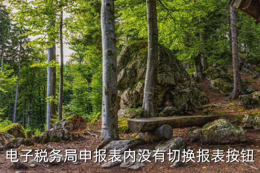 電子稅務局申報表內沒有切換報表按鈕