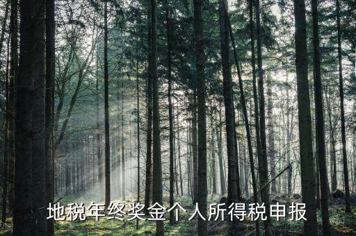 地方稅務局網(wǎng)上如何申報年終獎，網(wǎng)上報稅中年終獎怎么報怎么操作啊