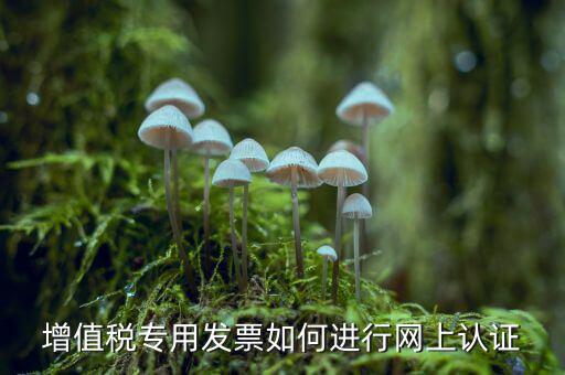 增值稅專票如何網(wǎng)上認(rèn)證，增值稅專用發(fā)票如何進(jìn)行網(wǎng)上認(rèn)證