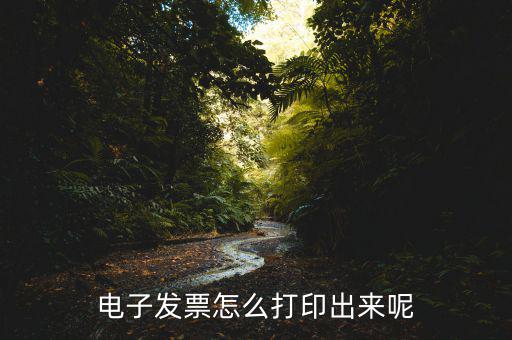 烏魯木齊電子稅票如何打印，增值稅電子普通發(fā)票怎么打印