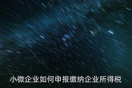 小企業(yè)如何繳納所得稅，小規(guī)模企業(yè)所得稅怎么交納