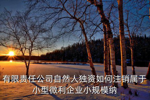 如何注銷小微企業(yè)所得稅，小微企業(yè)工商稅務注銷手續(xù)