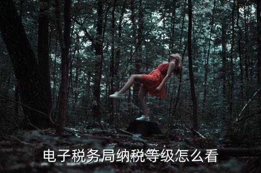 如何查詢納稅人納稅等級，電子稅務(wù)局納稅等級怎么看