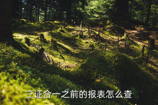如何查三證合一之前的國稅數(shù)據(jù)，三證合一之前的報表怎么查