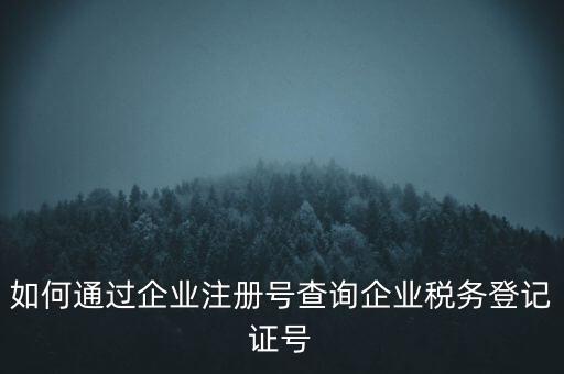如何查詢公司稅務編號查詢系統(tǒng)，公司的稅務登記證號怎么查詢