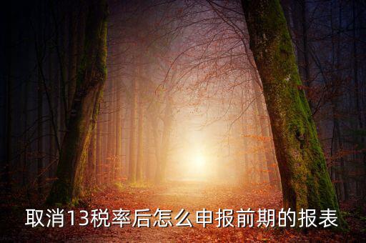 取消13稅率申報(bào)表如何填，13的稅率沒(méi)了納稅申報(bào)以后怎么辦