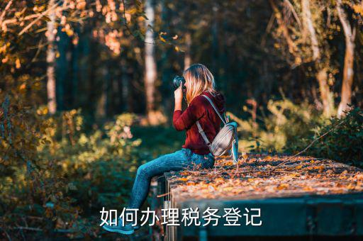 學術團體如何辦理稅務登記，如何辦理稅務登記