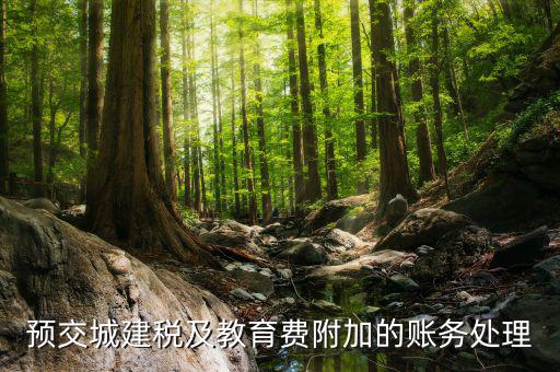 預(yù)繳城建稅如何處理，預(yù)交城建稅及教育費(fèi)附加的賬務(wù)處理