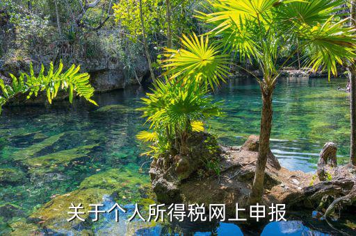 關于個人所得稅網(wǎng)上申報
