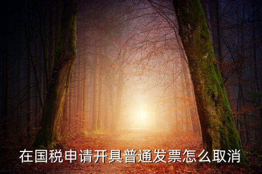 網(wǎng)上申領發(fā)票如何撤銷，已經(jīng)申報了的發(fā)票怎么作廢